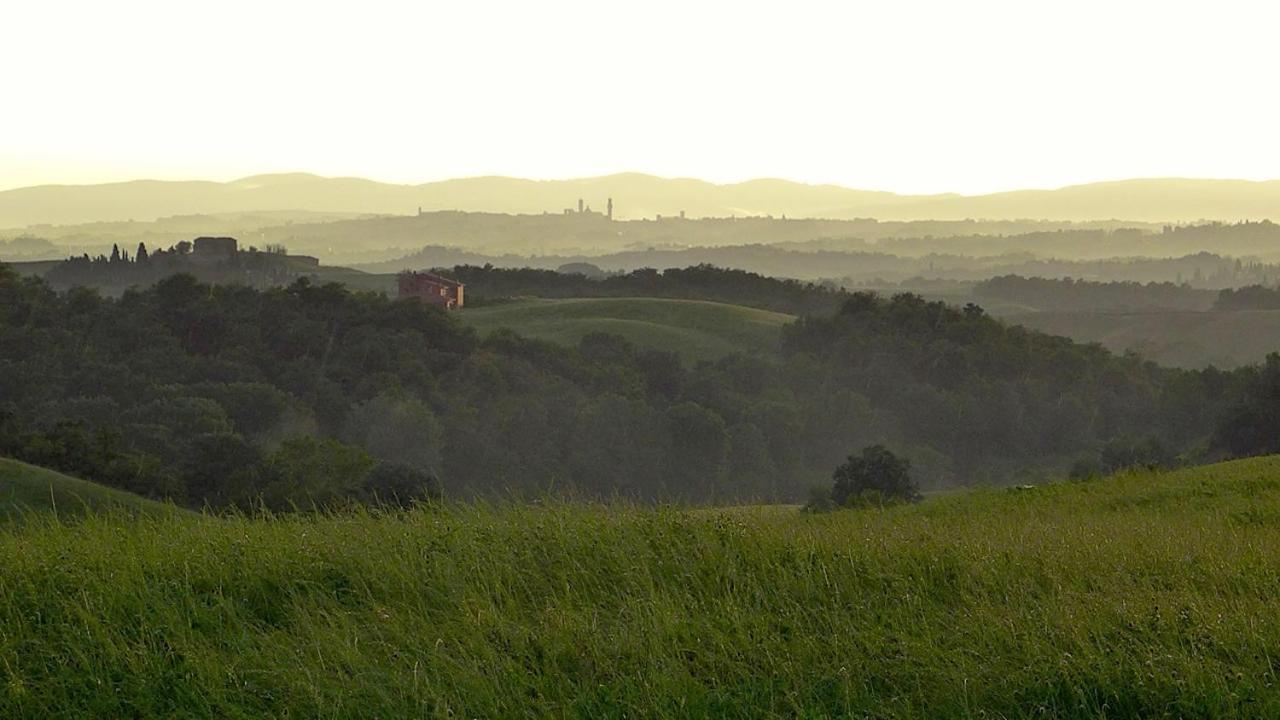 Agriturismo San Fabio Castelnuovo Berardenga Extérieur photo